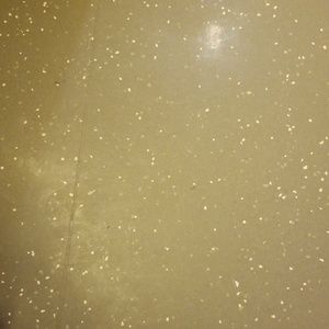 Meet your Posher, Kaye